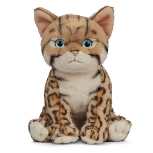 Bengal kitten soft - bengal,