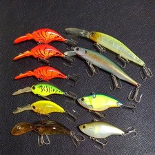 EVERGREEN Lure Set of 10 Wild