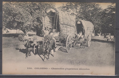 Ceylan colombo charrettes - -,