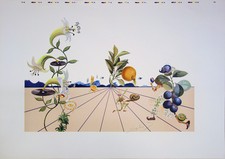 Salvador DALI : Flordali I -