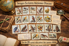 21 Images Scolaires Anciennes