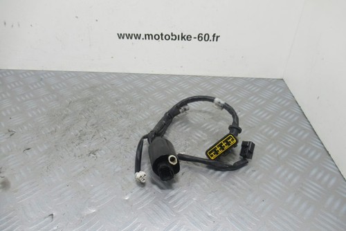 Faisceau electrique yamaha - yamaha, yzf