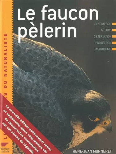 Faucon pèlerin rené - le,