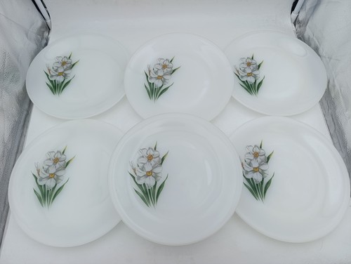 Lot assiettes plates - lot, 6