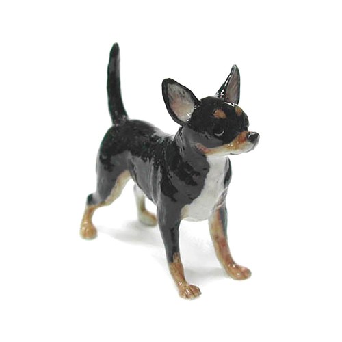 Northern rose dog animal - rose,