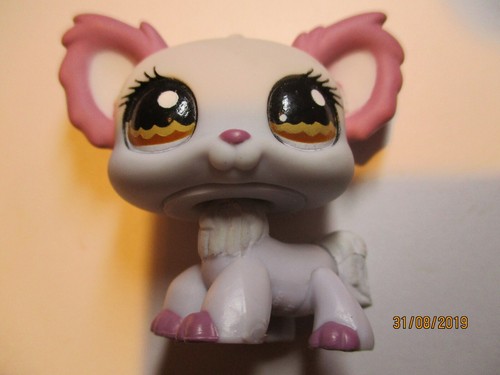 Petshop chien papillon - chien,
