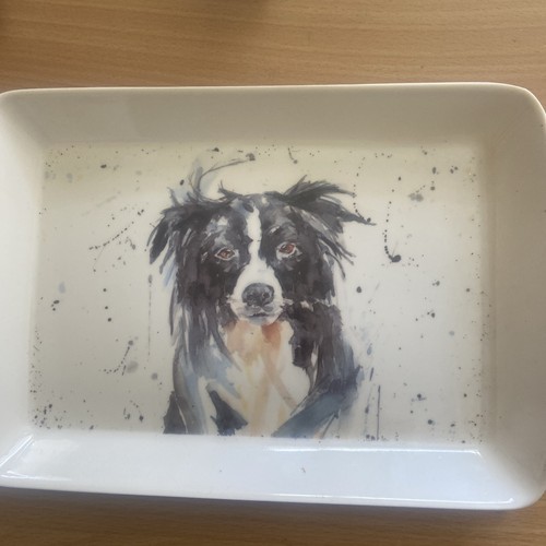 Plateau border collie - plateau, 16