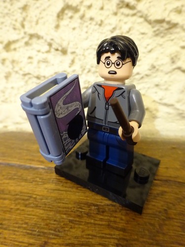 Lego harry potter série - harry, 2