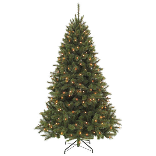 Triumph tree sapin noël - sapin,