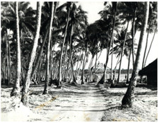 Atoll de Mururoa, base