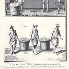 Verrerie en bois - L'arche  -  Gravure ancienne - Réédition 1964