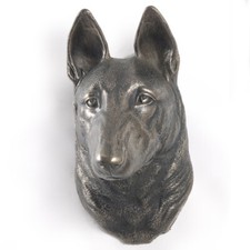 Malinois Berger Belge Tête