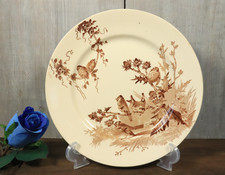 Assiette Plate Ancien en Terre