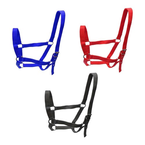 Licol réglable pour - , cheval
