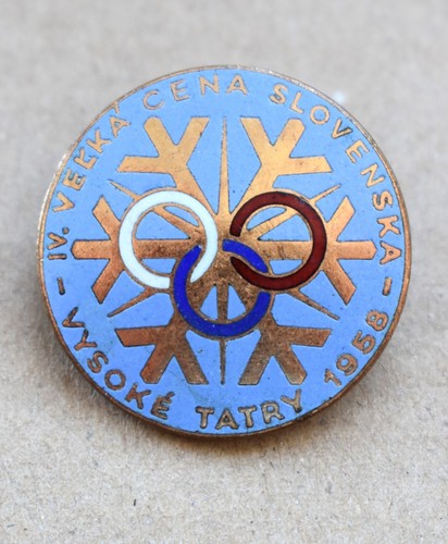 Insigne broche ski - broche,