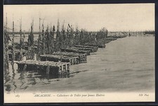Old postcard Arcachon, tile collectors for young oysters 