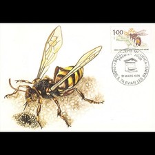 Carte maximum - n° 2039 -