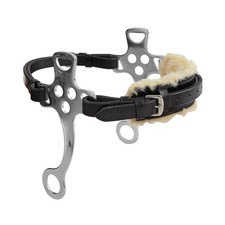 Blenheim - Bridon de cheval