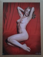 Photo couleur grand format (30