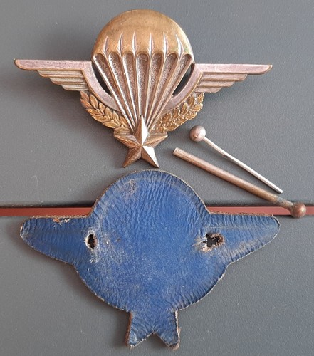 Insigne numéroté brevet - insigne,