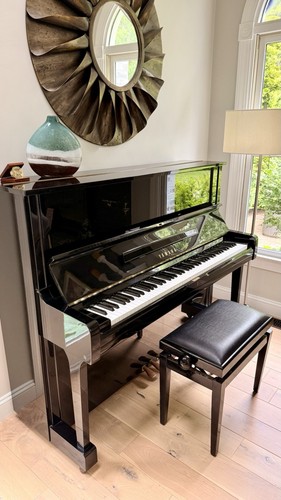 For sale yamaha u1 - for,
