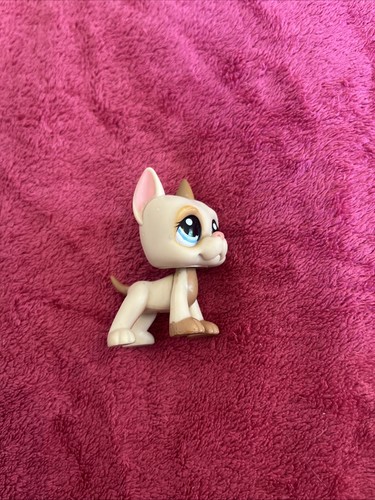 Petshop chien danois dogue - chien,