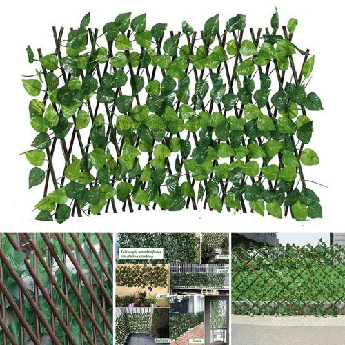 Fausse feuille lierre haie - feuille, de