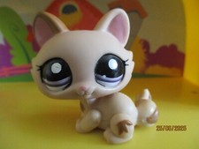 Petshop chat sphynx #1444