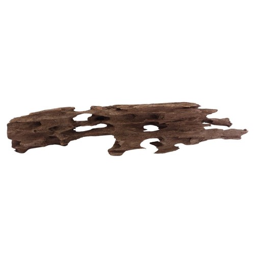 Honey peigne racine 2073 - honey,