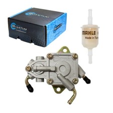 Qfs Carburant Pompe + Mahle