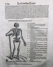 Squelette 1614 Rare Gravure