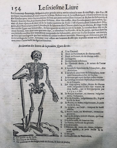 Squelette 1614 rare gravure - rare,