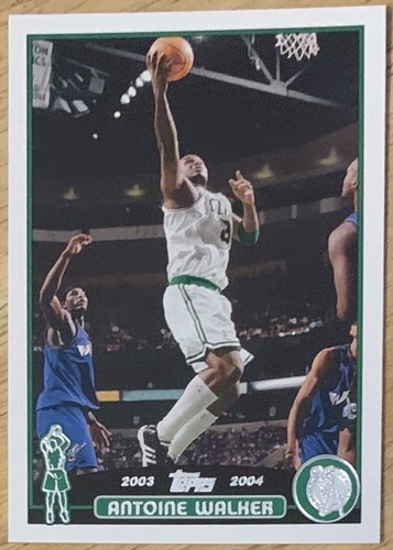 Antoine walker 2003 - antoine, 2003--2004