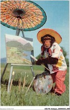 AIDP6-ANIMAUX-0506 - Monkey Paint