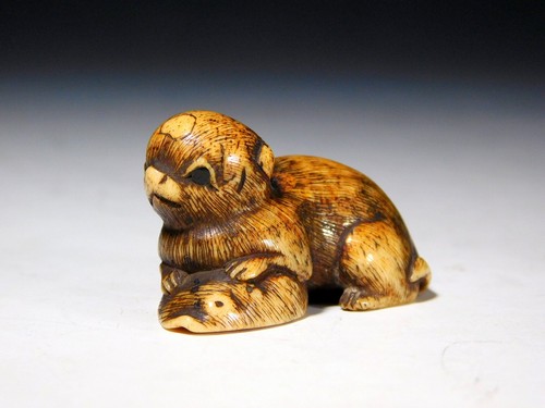 Bois sculpté fin pour chien