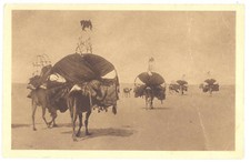 CPA ALGERIE - Scènes et types