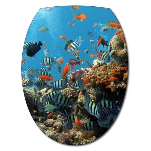 Sticker abattant wc - abattant,