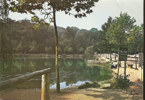 Meudon étang de trivaux - l'étang,