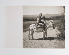 Jeune femme cheval blanc poney