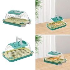 Reptile terrarium Reptile