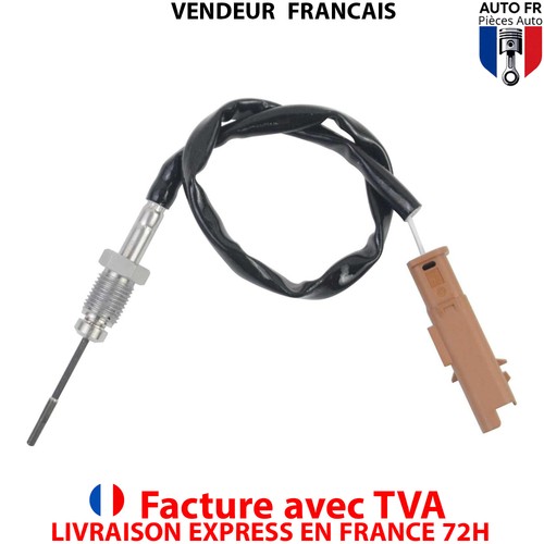 Sonde temperature gaz - temperature,