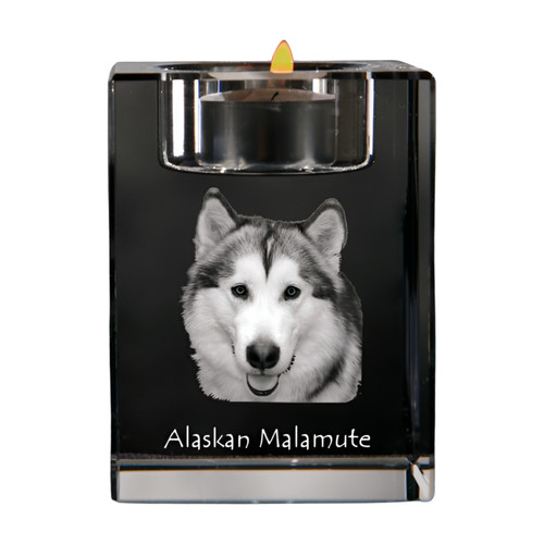 Alaskan malamute bougeoir - malamute,