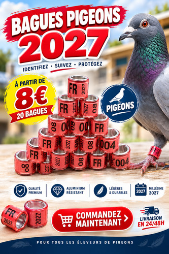Bagues oiseaux plastique - 20,