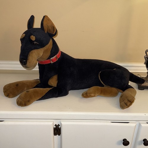 Large doberman pinscher - doberman,