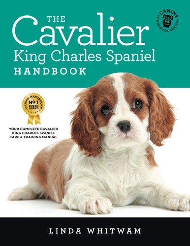 The cavalier king - the,