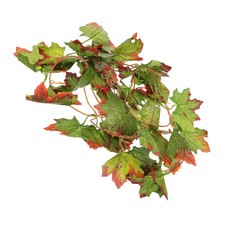  Accessoire Terrarium