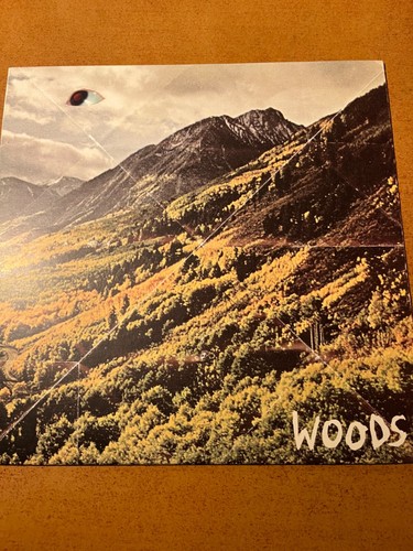 Disque vinyl woods - woods, « songs