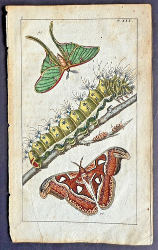 Rare 1797 wilhelms - wilhelms, and