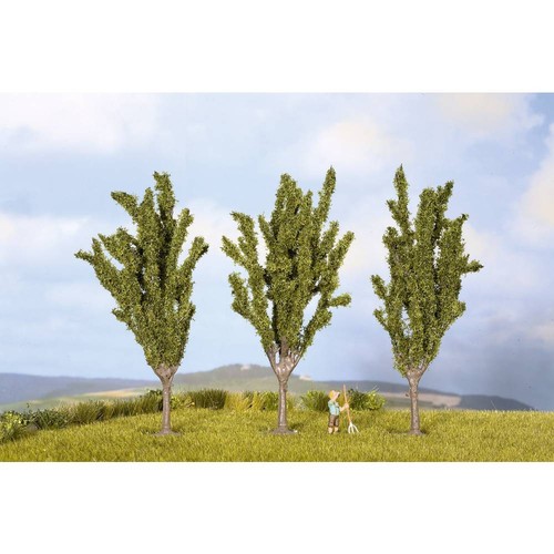 Assortiment arbres peuplier - d'arbres,