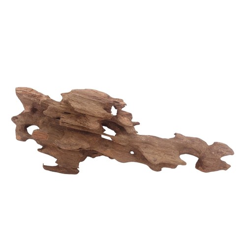 Honey peigne racine 3027 - l,